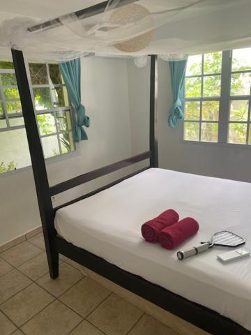 Akunamatata Guest House Grand Case Kültér fotó